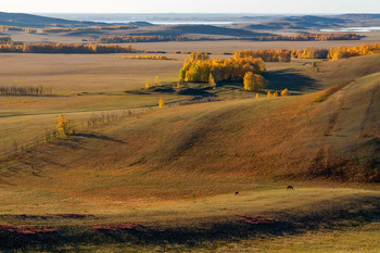 Autumn Gold / ***