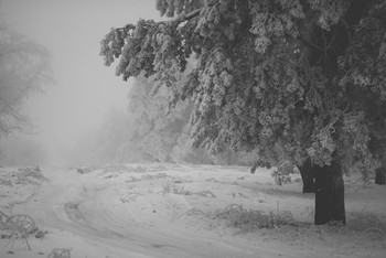 Straße im Nebel / ***
