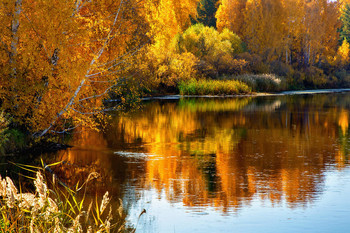 Herbst-Malerei / ***