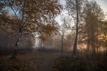 An der Kreuzung / ***