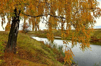 Goldener Herbst / ***