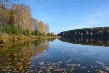 Herbst / ***