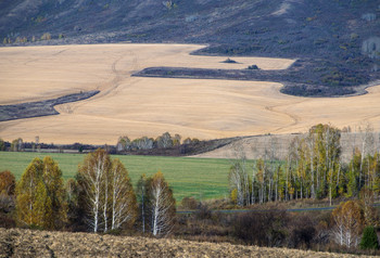 Herbst Rhapsody / ***