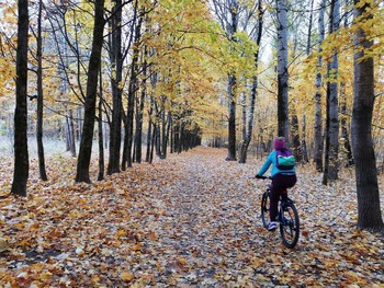 Im Herbst Park / ***