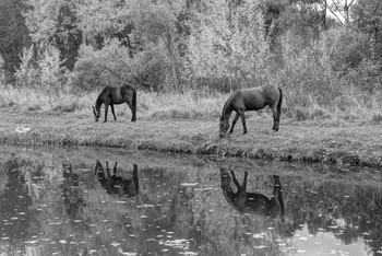 An der Küste / ***