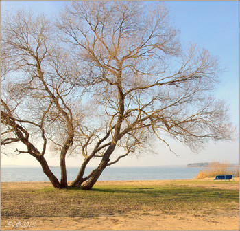 Autumn Strand / ***