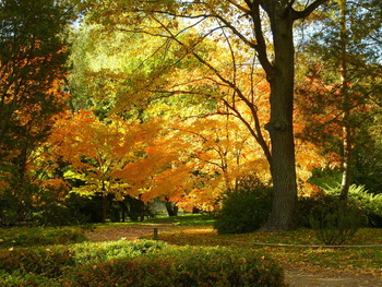 Herbstfarben / ***