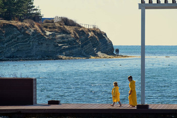 Neighbours / ***