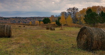 Herbst / ***