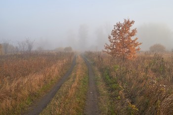 Straße zum Herbst / ***