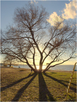 Herbst Strand 2 / ***