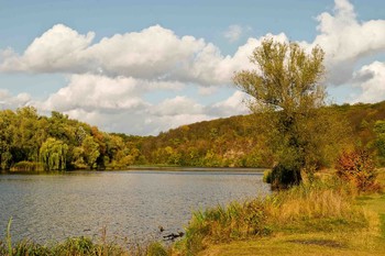 Herbst-Landschaft / ***