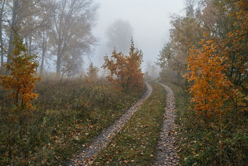 Herbstnebel / ***