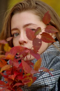 Herbst im Park. / ***