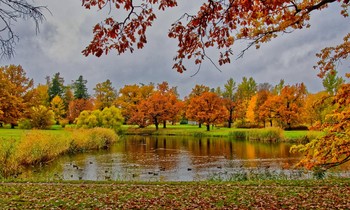 Goldener Herbst / ***