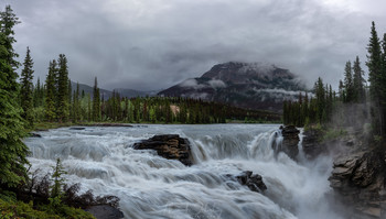 Athabaska Falls / ***