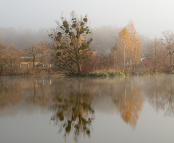 Nebliger Morgen / ***