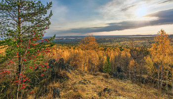 Herbst-Landschaft / ***