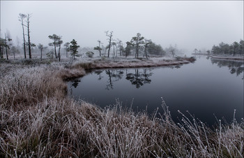 Die ersten Frost / ***