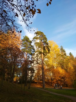 Herbst-Landschaft / ***