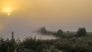 Herbst / ***