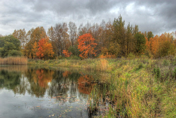 Herbst / ***