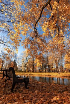 Herbst-Outfit / ***