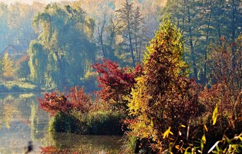 Herbst Morgendämmerung / ***