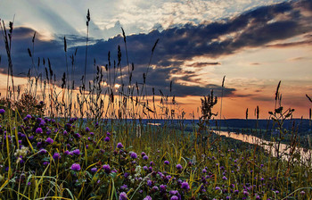 Eine Wolke / ***