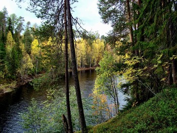 Herbstwald / ***