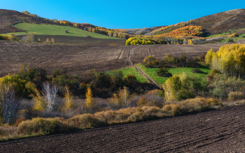 Herbst / ***