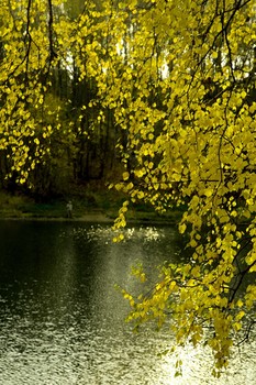 Herbst auf dem See / ***