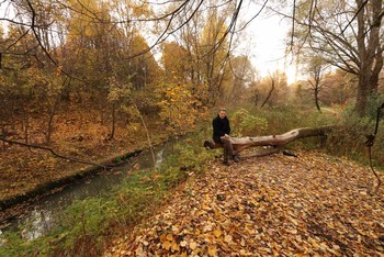 Herbst / ***