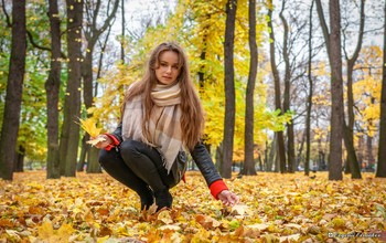 Im Herbst Park / ***