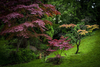 Japanischer Garten / ***