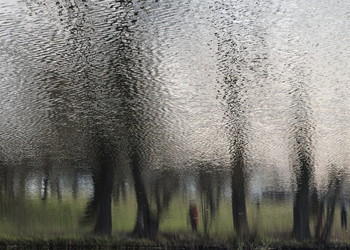 in Wasser / ***