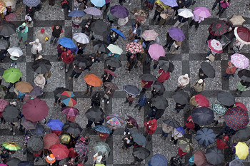 Regen / ***