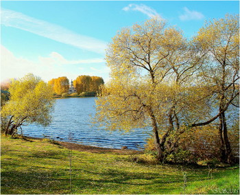 Herbst-Tag / ***