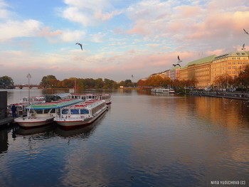 Alster Hamburg / ***