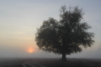 Herbst Morgendämmerung / ***