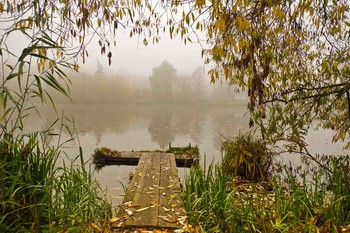 Die Oktober-Landschaft / ***