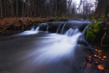 Ströme von Milch / ***