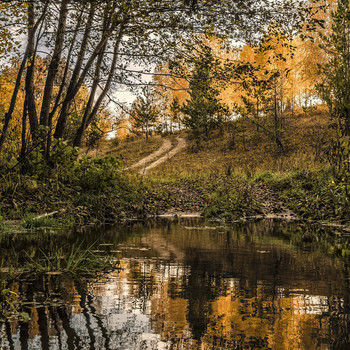 Herbst im Quadrat / ***