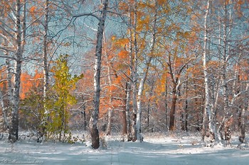 Der erste Schnee / ***