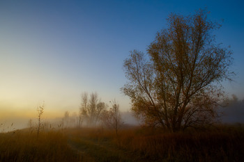 Morgendämmerung / ***