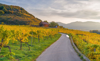 Wachau / Wachau