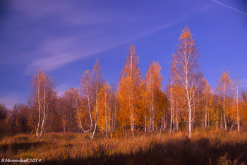 Herbstfarben / ***