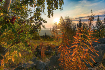 ECKE HERBST / ***