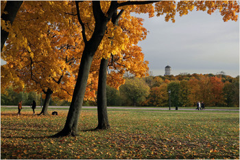 Kolomenskoye / ***