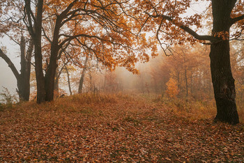 Oktober / ***